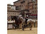 Palio di Siena 2 luglio 2018