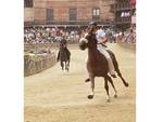 Palio di Siena 2 luglio 2018