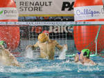 Pallanuoto Busto BPM Sport Managent