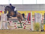 Trofeo My Horse 2018