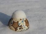 Pallone innevato