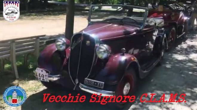 Vecchie Signore C.L.A.M.S. 