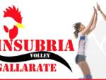 Insubria Gallarate