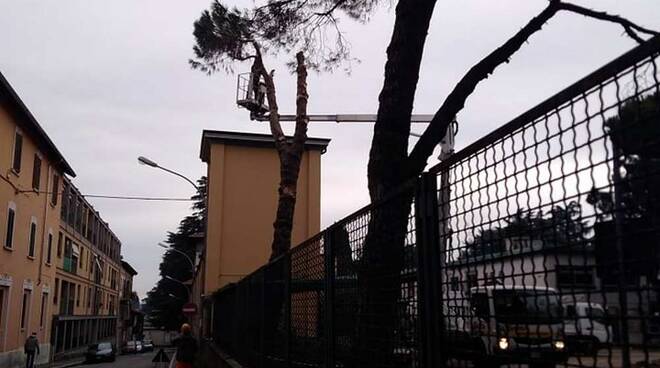 Parco Giochi Piazza Trento e Trieste Legnano