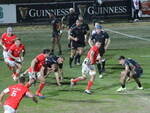 Zebre Parma - Munster Cork 0-28