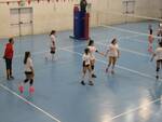 FoCoL Legnano U17