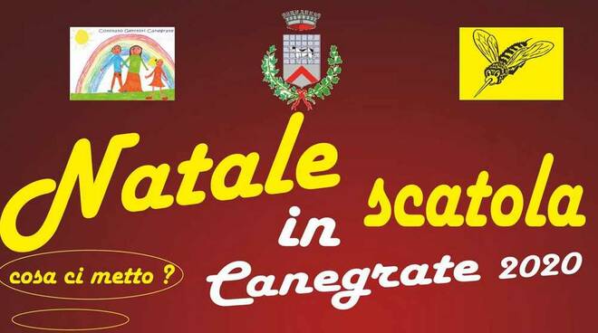 Natale in scatola Canegrate