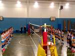 Volley arluno