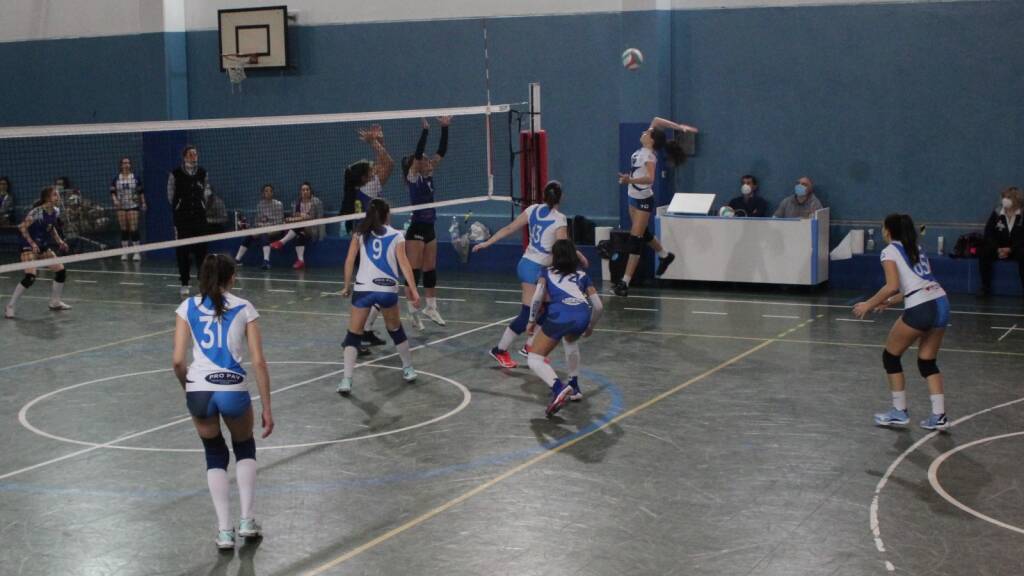 Volley arluno