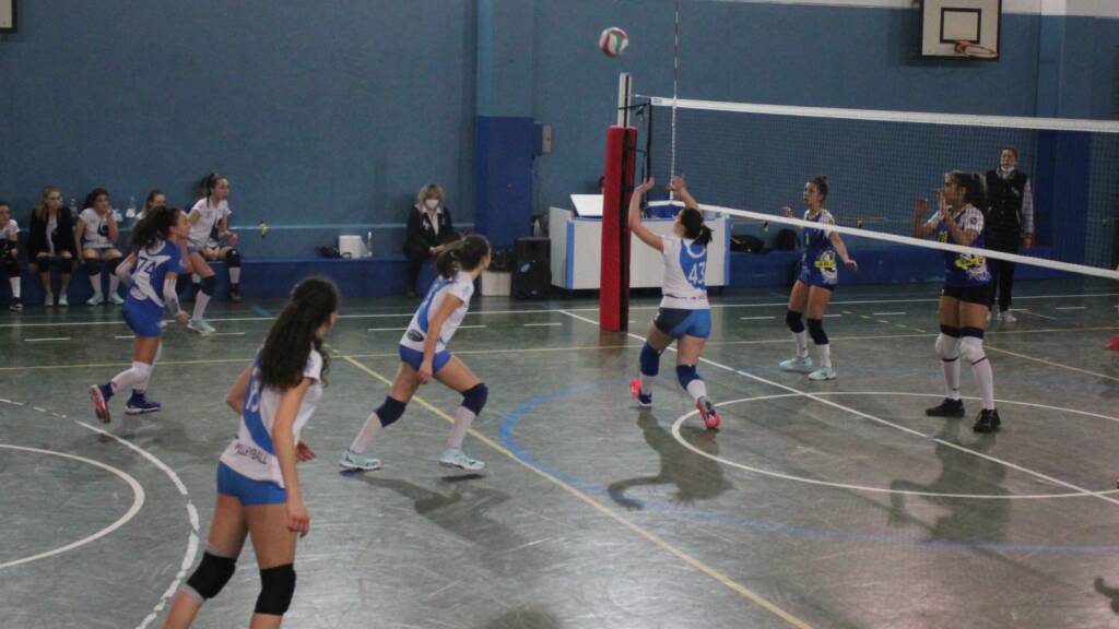 Volley arluno