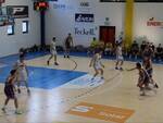 Casorate-Wiz Basket 64-74