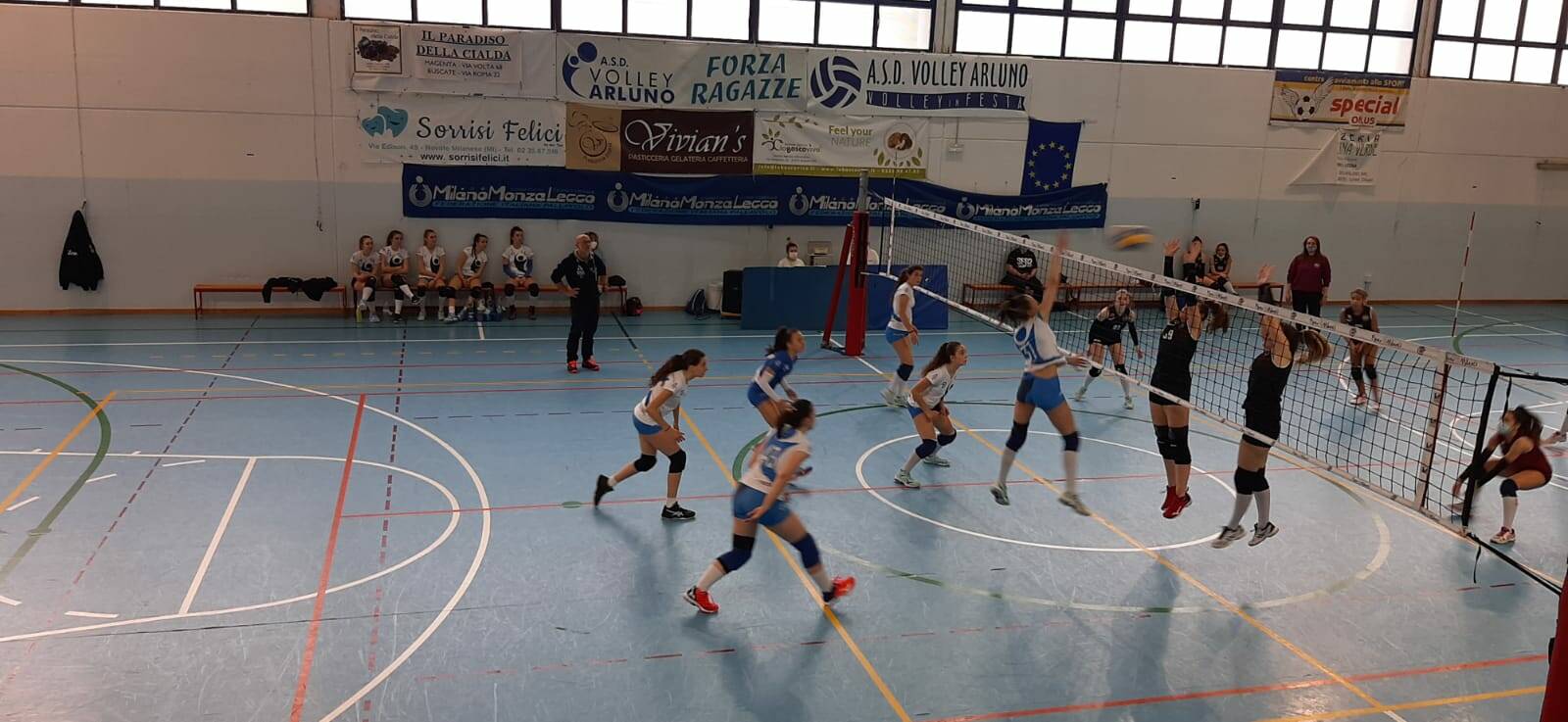 Volley Arluno