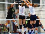 FoCoL Volley Legnano