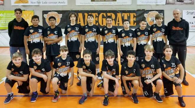 Bulldog Basket Canegrate Under 13 maschile