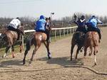 Corse d'addestramento Palio di Legnano 13-03-22