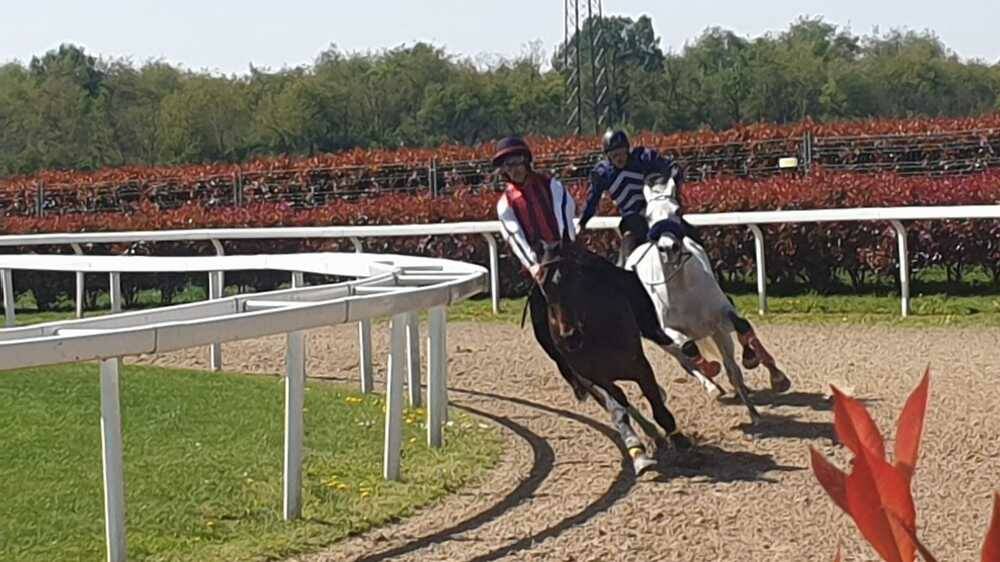 Corse d'addestramento Palio di Legnano 18-04-22