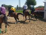 Corse d'addestramento Palio di Legnano 18-04-22