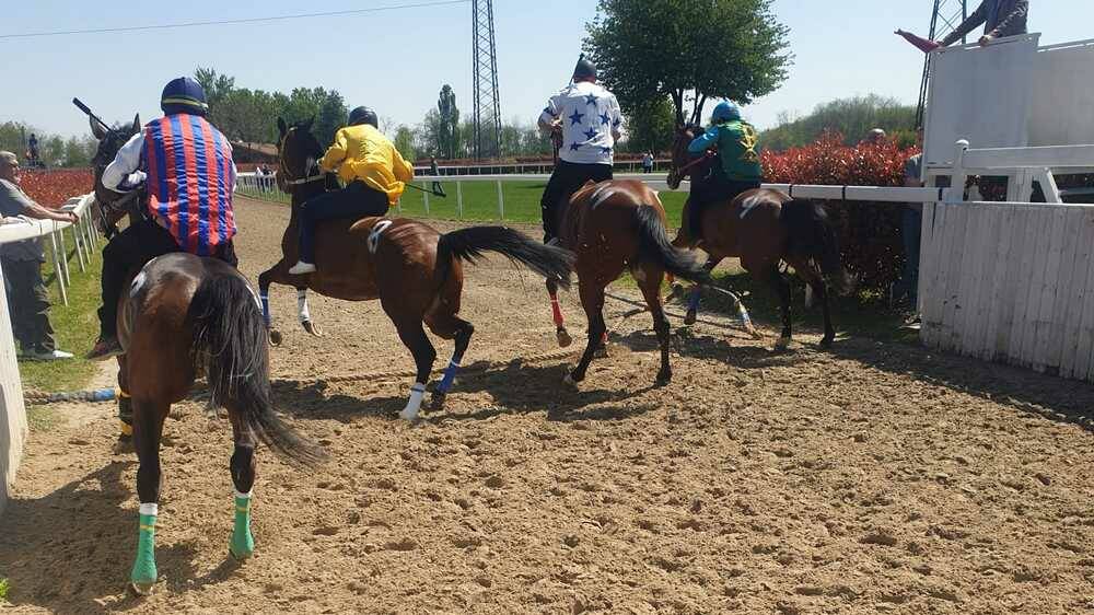 Corse d'addestramento Palio di Legnano 18-04-22