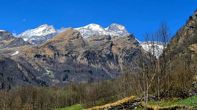 Monte Rosa