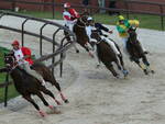 Palio di Legnano finale festeggiamenti San Magno