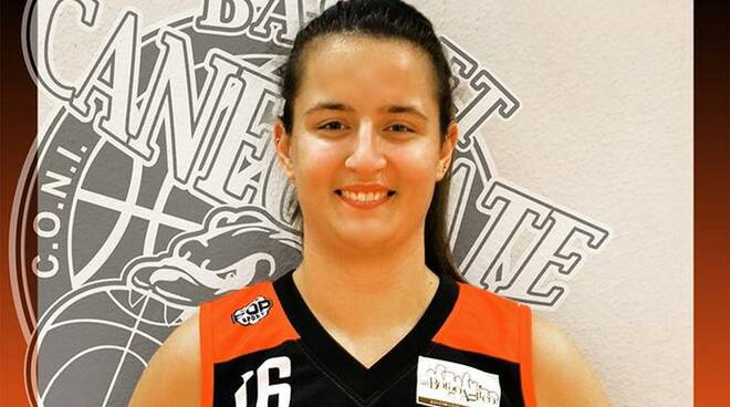 Bulldog Basket Canegrate Gaia Sansottera