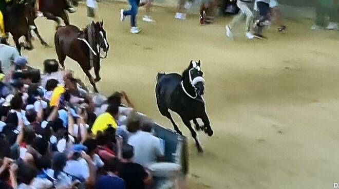 Palio di Siena agosto 2023