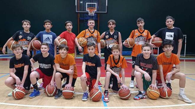 Bulldog Basket Canegrate squadre giovanili maschili